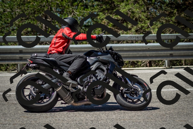 202506291106-DSC_2633_c2