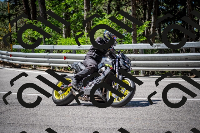 202506291107-DSC_2641_c2