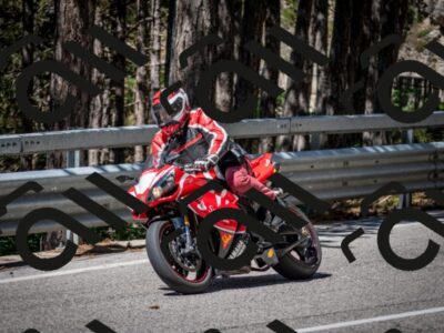 202506291108-DSC_2645_c2