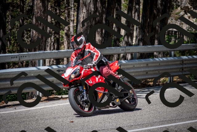 202506291108-DSC_2645_c2