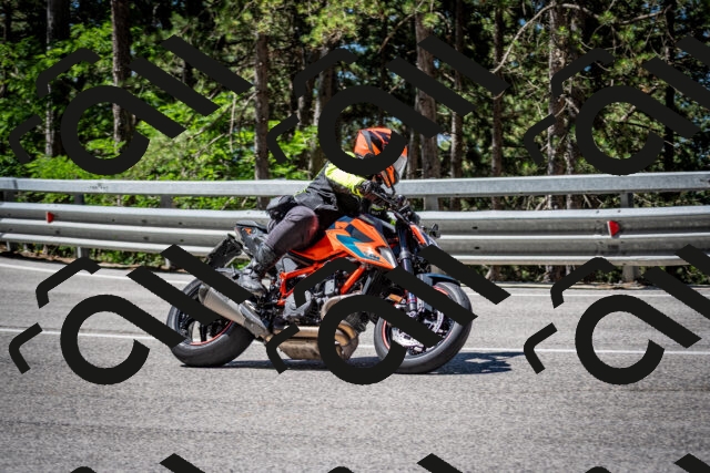 202506291108-DSC_2652_c2