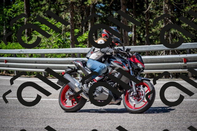 202506291109-DSC_2655_c2