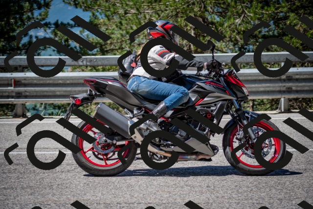 202506291109-DSC_2656_c2