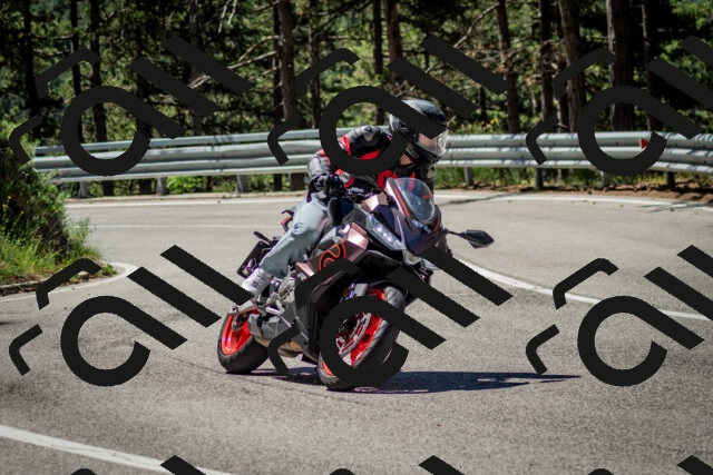 202506291112-DSC_2672_c2