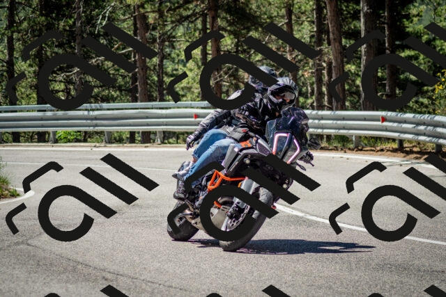 202506291112-DSC_2674_c2