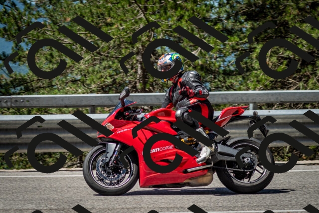 202506291114-DSC_2685_c2