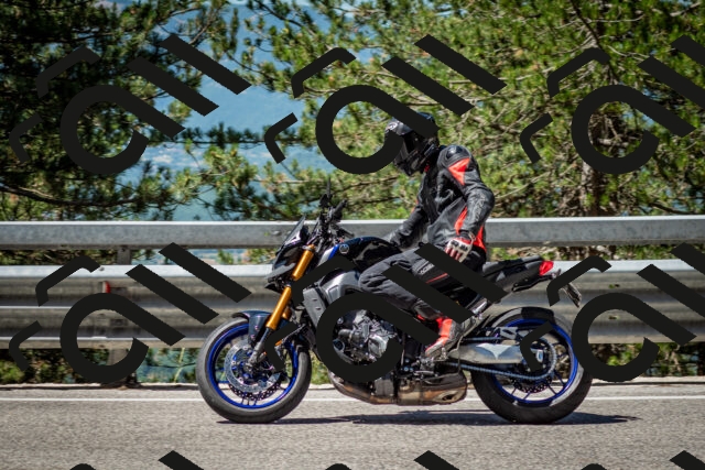 202506291114-DSC_2688_c2