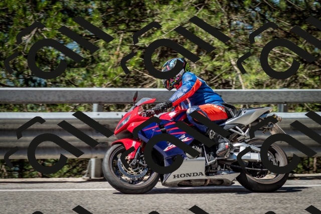 202506291114-DSC_2693_c2