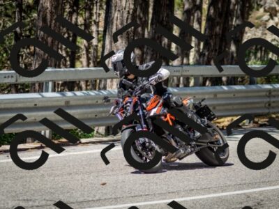 202506291115-DSC_2699_c2