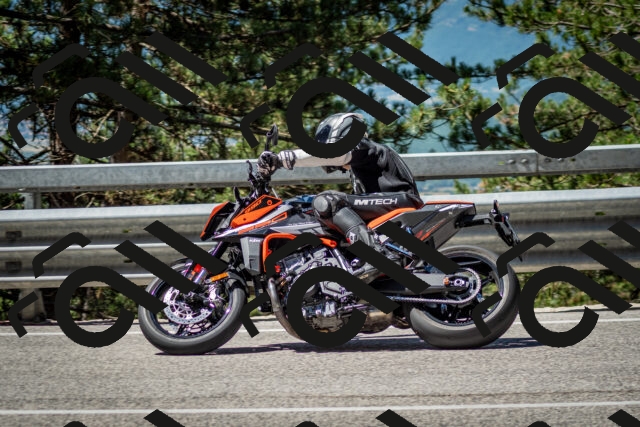 202506291115-DSC_2700_c2