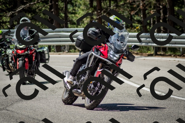 202506291115-DSC_2701_c2