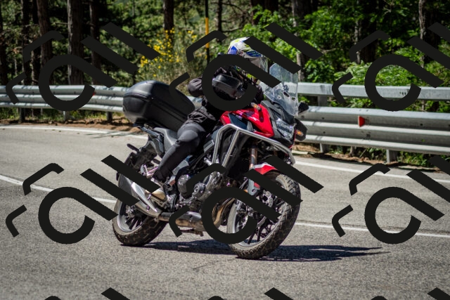 202506291115-DSC_2702_c2