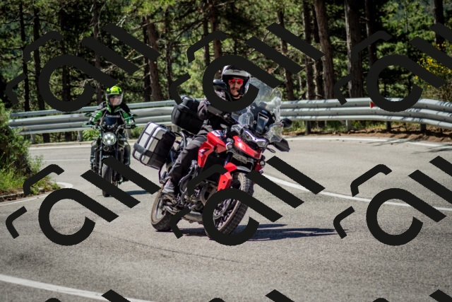 202506291115-DSC_2703_c2