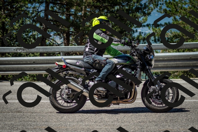 202506291116-DSC_2706_c2