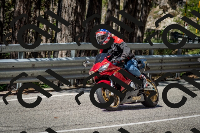 202506291116-DSC_2708_c2