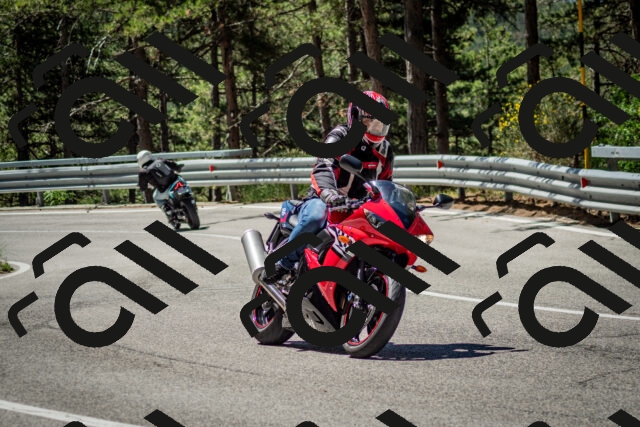 202506291117-DSC_2717_c2