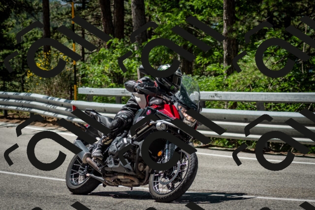 202506291118-DSC_2720_c2