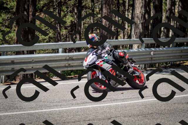 202506291118-DSC_2723_c2