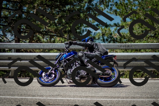 202506291119-DSC_2726_c2