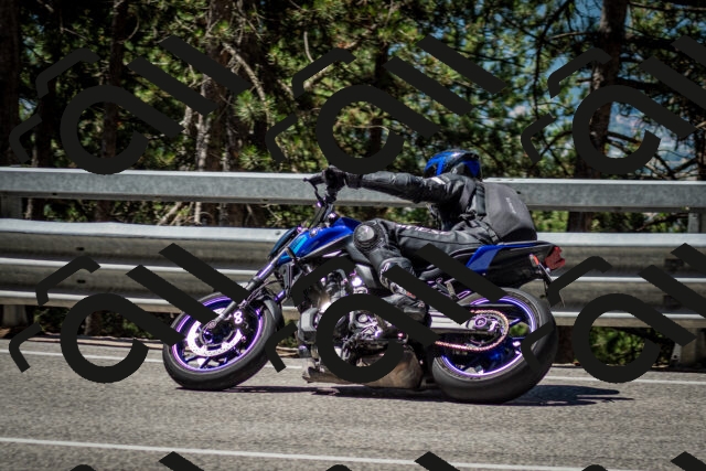 202506291119-DSC_2727_c2