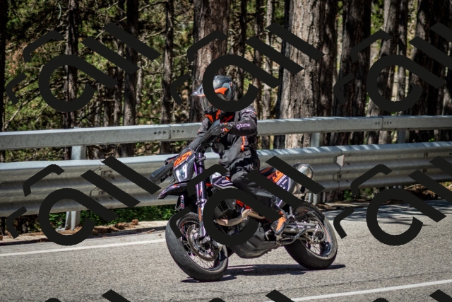 202506291119-DSC_2731_c2