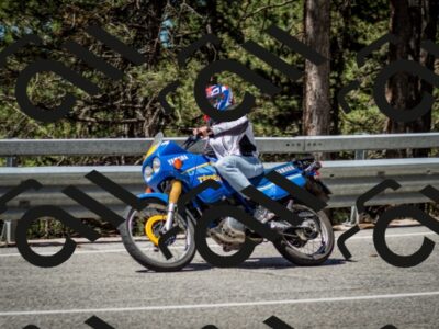 202506291119-DSC_2733_c2