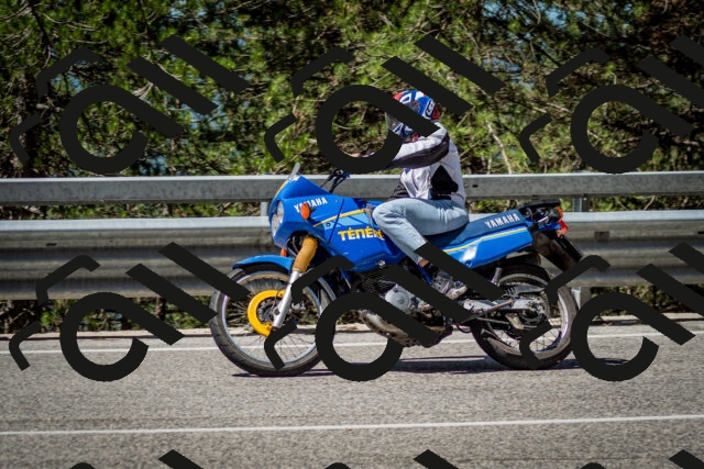 202506291119-DSC_2734_c2