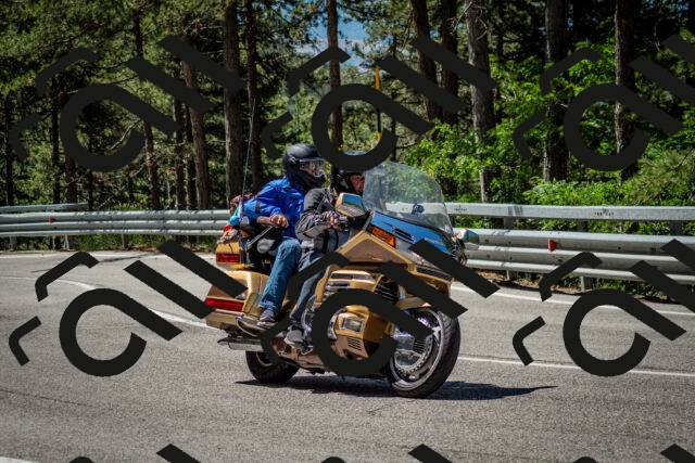 202506291119-DSC_2735_c2