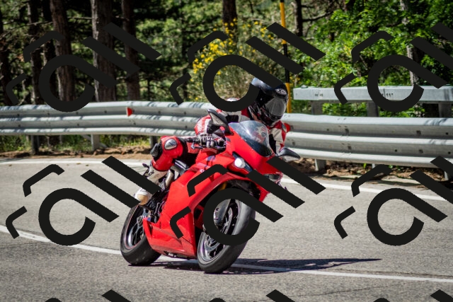 202506291119-DSC_2740_c2