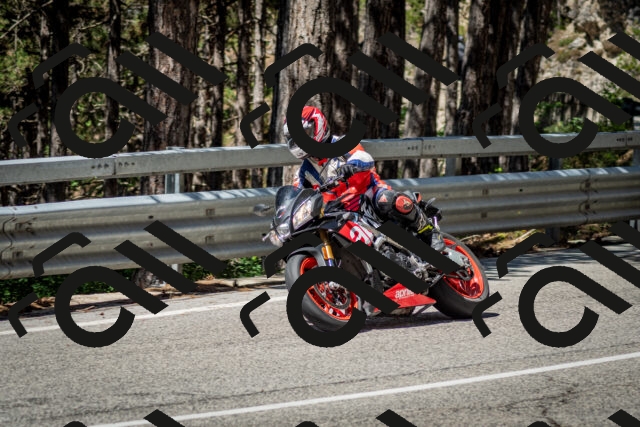 202506291119-DSC_2744_c2