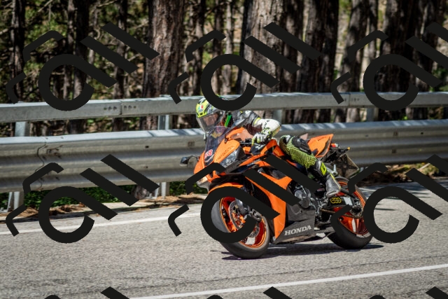 202506291119-DSC_2746_c2