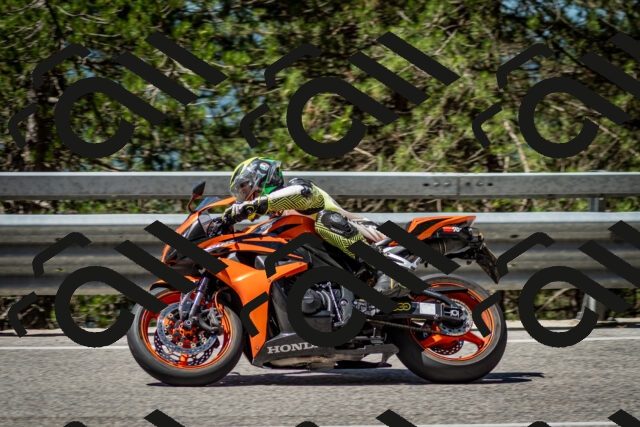 202506291119-DSC_2747_c2