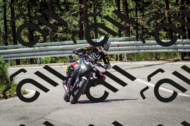 202506291120-DSC_2749_c2