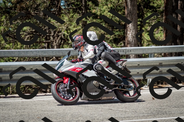 202506291121-DSC_2755_c2