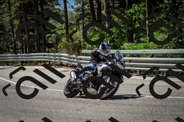 202506291122-DSC_2764_c2