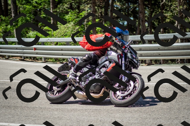 202506291123-DSC_2774_c2