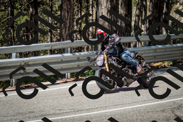 202506291123-DSC_2776_c2