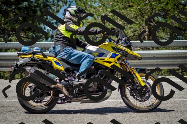 202506291123-DSC_2778_c2