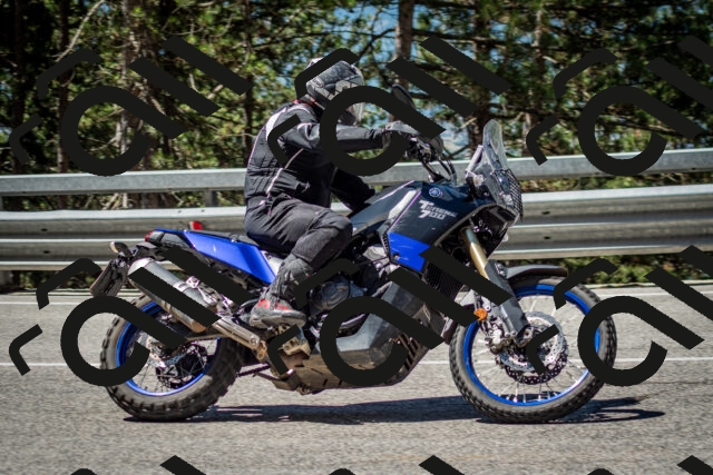 202506291123-DSC_2781_c2