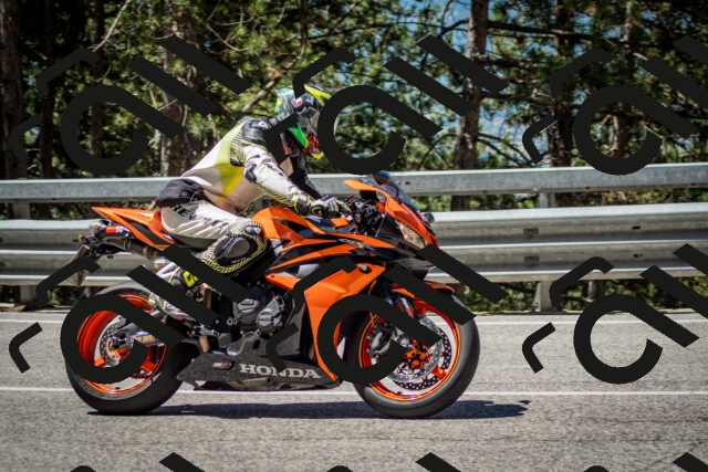 202506291124-DSC_2794_c2