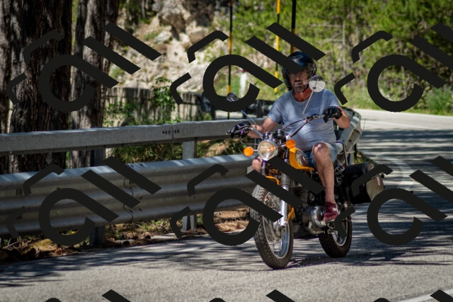 202506291127-DSC_2806_c2