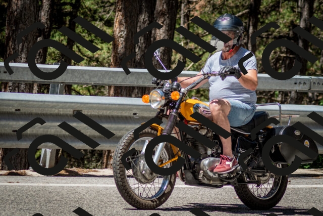 202506291127-DSC_2807_c2