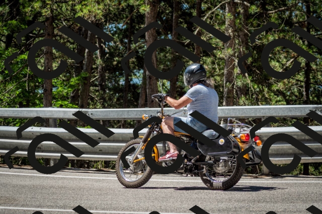 202506291127-DSC_2809_c2