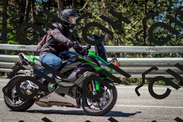 202506291129-DSC_2825_c2