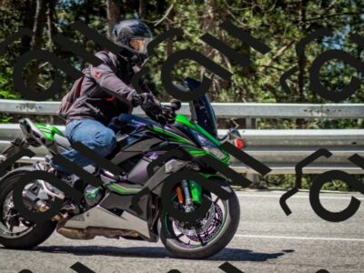 202506291129-DSC_2825_c2