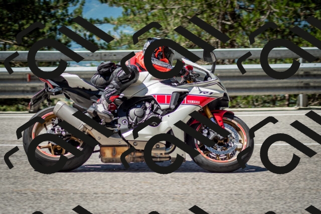 202506291129-DSC_2828_c2