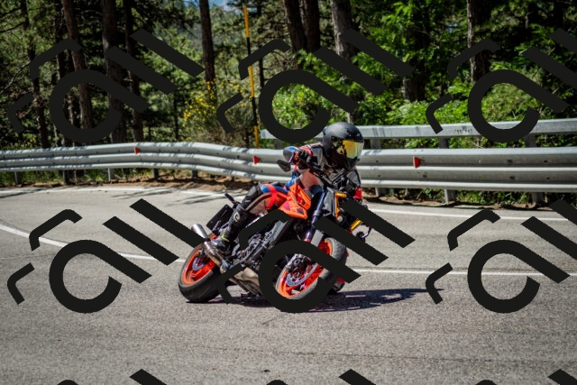 202506291130-DSC_2835_c2