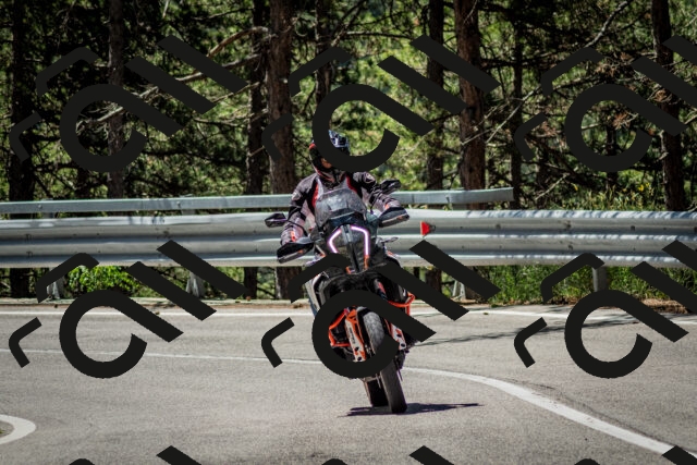 202506291130-DSC_2837_c2