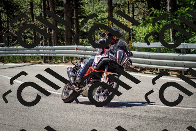 202506291130-DSC_2838_c2