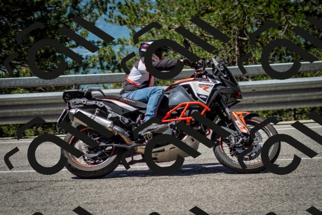 202506291130-DSC_2839_c2